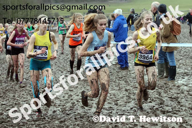 Girls under-15s 2018 British Inter Counties Cross Country Champs., Prestwold Hall, Loughborough. Photo: David T. Hewitson/Sports for All Pics